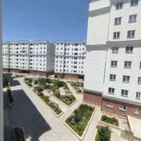 میران-100م-لیلیان-پالاس-دوبر-بدون-مشرف