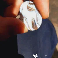 شجر|بدلیجات|شیراز, شاپورجان|دیوار