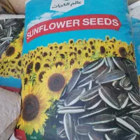 تخمه افتاب گردان