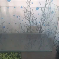 اکواریوم