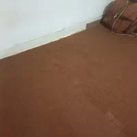 موکت سالم وتمیز