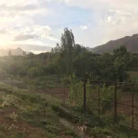باغ-سند-دار-1200-متر