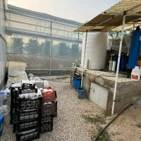 فروش گلخانه آیروپونیک در جاده جویبار|فروش دفتر صنعتی، کشاورزی، تجاری|قائم‌شهر, |دیوار