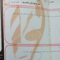 206 تیپ 5|خودرو سواری و وانت|مشهد, سید رضی|دیوار