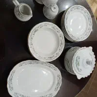 ظروف چینی حمید