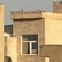 اجاره ۵۰ مت آپارتمان کیانشهر شمالی