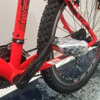 دوچرخه اصل ویوا|دوچرخه، اسکیت، اسکوتر|قم, سراجه (۱۵ خرداد)|دیوار