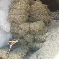 فروش یونجه علفی