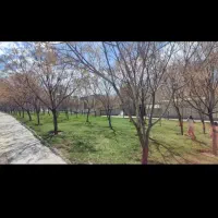 زمین۱۸۰متری/ابشارها/مجوزدوطبقه‌رو پیلوت/معبر۱۲متری