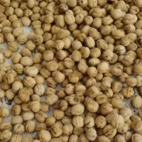 گردو تازه