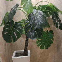 درخچه مصنوعی