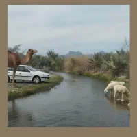 فروش زمین