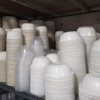 انواع ظروف یکبار مصرف|ظروف نگهدارنده، پلاستیکی، یک‌بارمصرف|سمنان, |دیوار