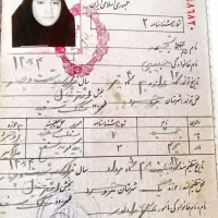 گذرنامه گمشده