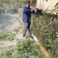 باغبانی هرس کاری گل کاری تعویض خاک گلدان شمشادزنی