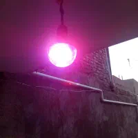 لامپ رقص نور