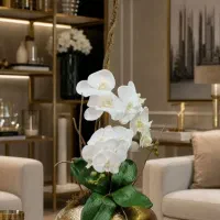 فروشنده خانم