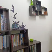 کتابخانه و دکور|کتابخانه، شلف، قفسه‌های دیواری|مشهد, گوهرشاد|دیوار