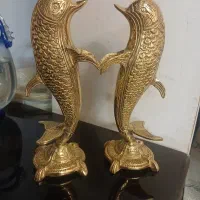 دلفین برنجی