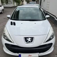 ۲۰۷ پانوراما مدل ۱۴۰۲ بی رنگ