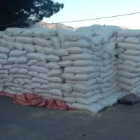 کاه گندم دیمه