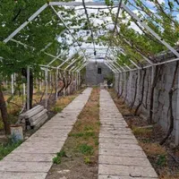 جوشکاری وسبک سازی سایبان وقیمه برای باغات انگور