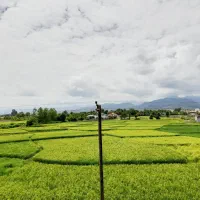 ۱۱۳ متر آپارتمان لوکس نوساز دو طبقه|فروش آپارتمان|رضوانشهر, |دیوار