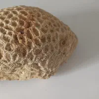 سنگ کلکسیونی قشنگ وجازبه دار