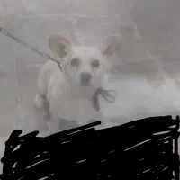 فروشی معامله