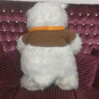 عروسک خرسی بزرگ توپولو|اسباب‌‌بازی|تهران, شهران شمالی|دیوار