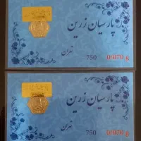 سکه پارسیان