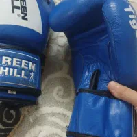 دستکش بوکس|تجهیزات ورزشی|فولادشهر, B8|دیوار