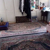 اجاره آپارتمان ۷۷ متری ۲ خوابه در امیریه اریکا|اجارهٔ آپارتمان|مشهد, امیریه|دیوار