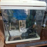 اکواریوم کاملا سالم در ابعاد ۵۰در۵۰