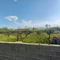 فروش زمین شمال ایران(گیلان-روستای توریستی ساحلی)|فروش زمین و ملک کلنگی|کلاچای, |دیوار
