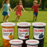 آلوچه لواشک ترشک بدون واسطه از کارخانه|حراج|ری, شهرک نظامی|دیوار