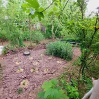 کداسکله/۵۰۰مترویلااکسیژن سندتکبرگ۶دانگ معلم سازان|فروش خانه و ویلا|کوچصفهان, |دیوار