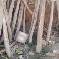 تیر چوبی ۳متری ۴ متری