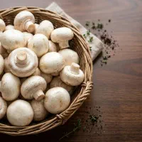 پخش عمده قارچ دکمه ای درجه یک و دو