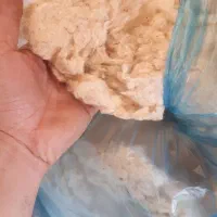 پنبه