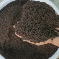 خاک گل و گیاه و خاک