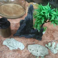 تعدادی لوازم تزیینی آکواریوم