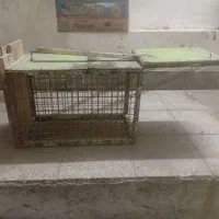 تله گربه گیر|لوازم جانبی حیوانات|کاشان, عربها|دیوار