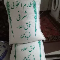 فروش طارم استخوانی