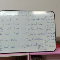 آموزش زبان انگلیسی از پایه تا حرفه ای