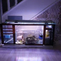 سامپ اکواریوم ، اب شور