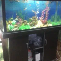 اکواریوم با پایه و کمد ام دی اف|ماهی|مشهد, ادیب نیشابوری (شهرک غرب)|دیوار