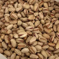 پسته|خوردنی و آشامیدنی|مشهد, کارمندان دوم|دیوار