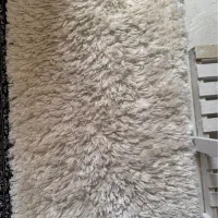 پادری