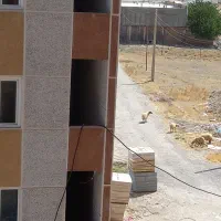 سیمانکاری و دیوار چینی